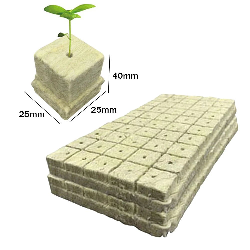 100pcs Hydroponics Starter Plugs - DailyBasicNeeds.com