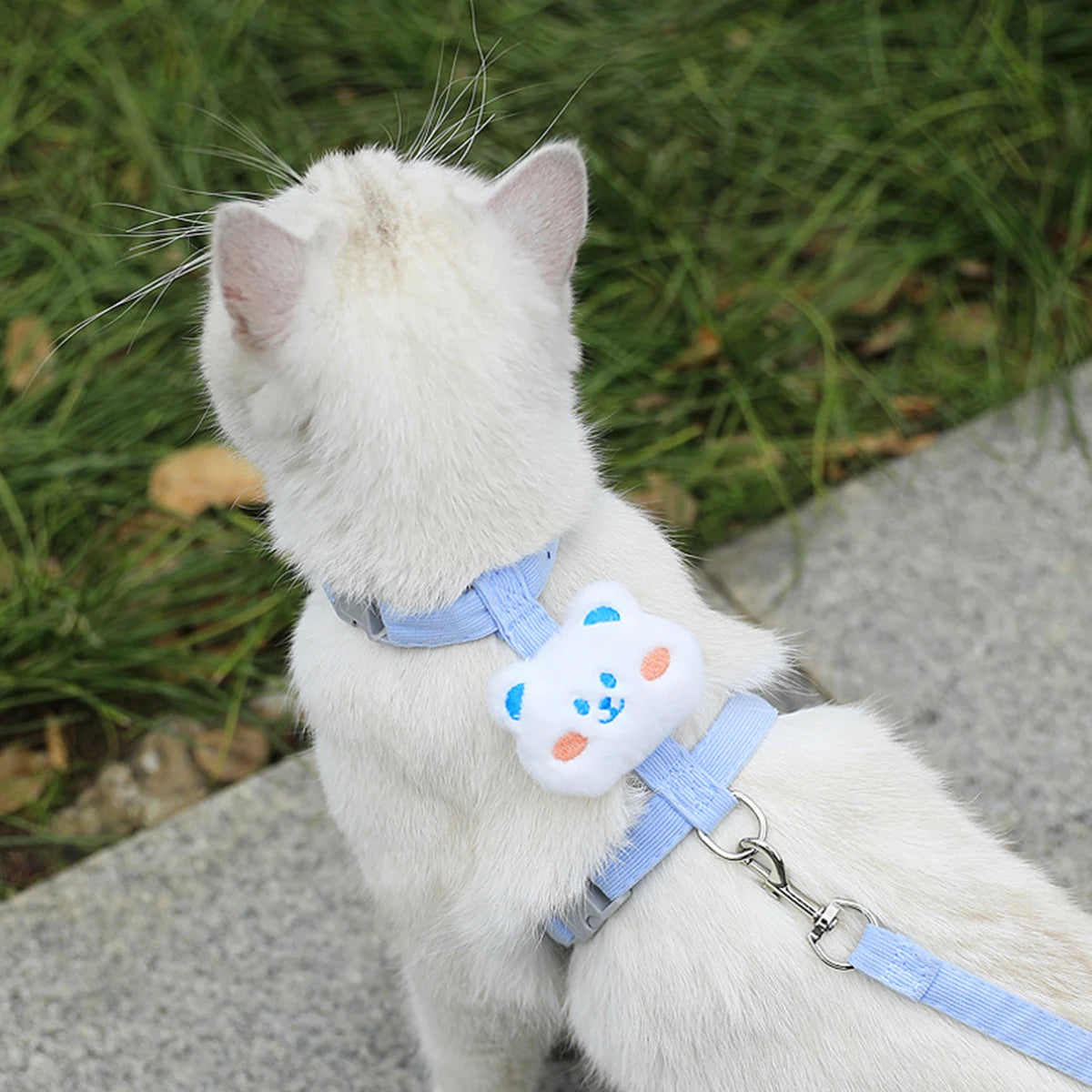 Cat Harness and Leash Sets