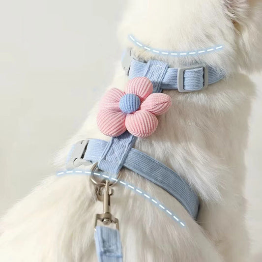 Cat Harness and Leash Sets