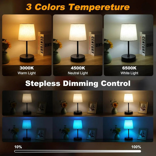 Color Changing Nightstand Lamps - DailyBasicNeeds.com