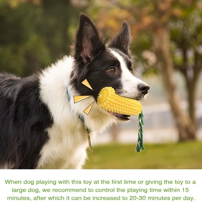 Indestructible Dog Chew Toy - DailyBasicNeeds.com