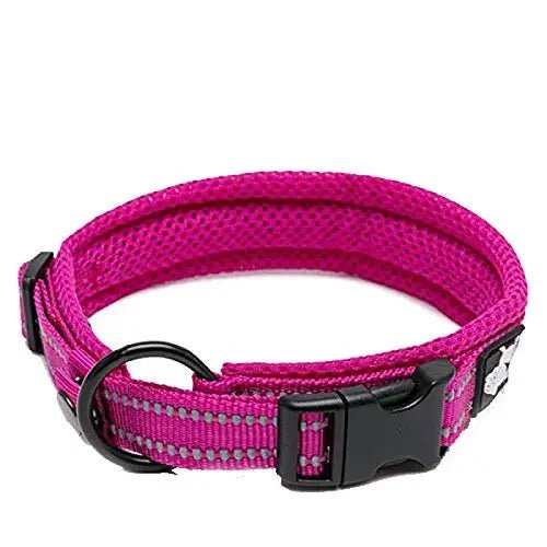 Pet Dog Collar - DailyBasicNeeds.com
