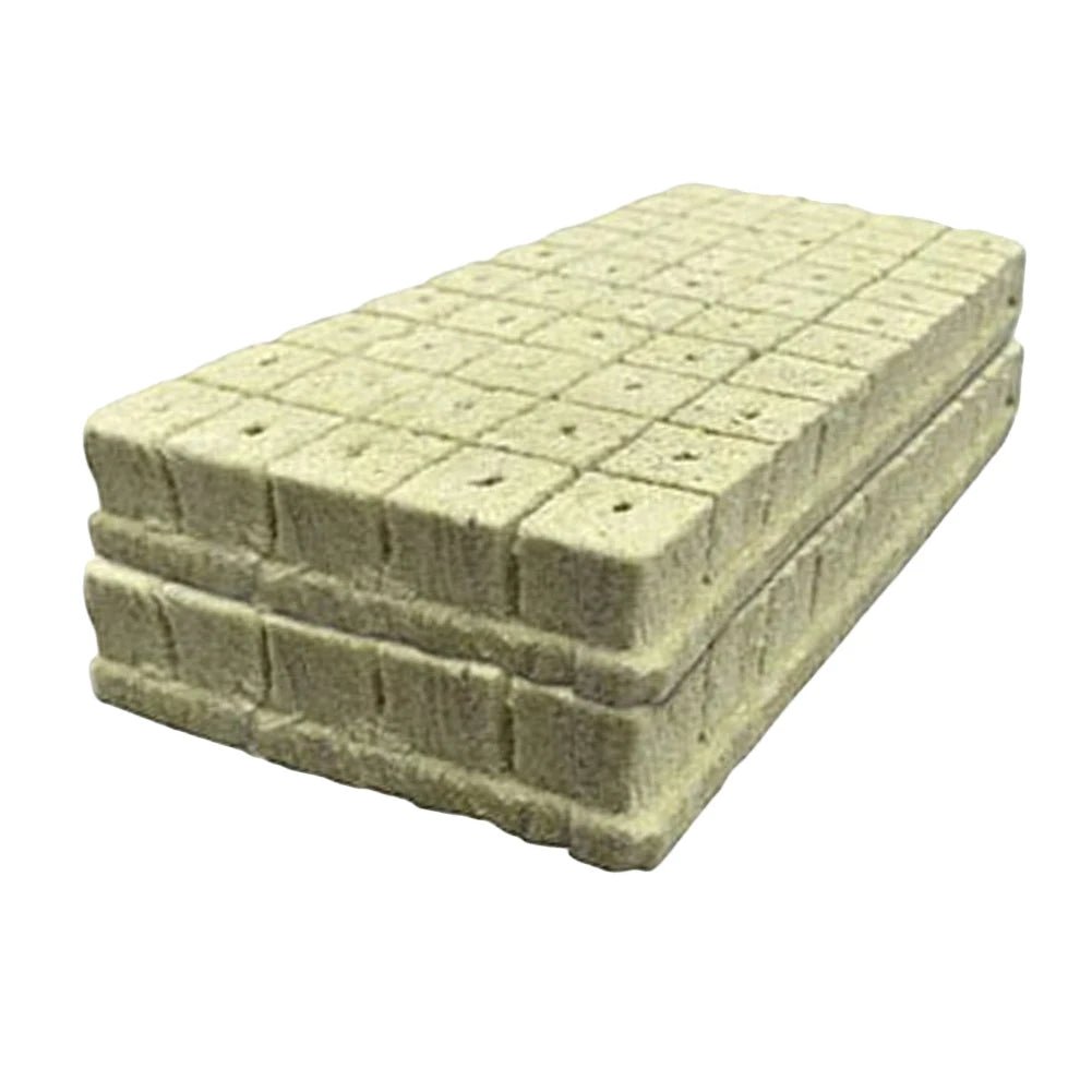 100pcs Hydroponics Starter Plugs - DailyBasicNeeds.com