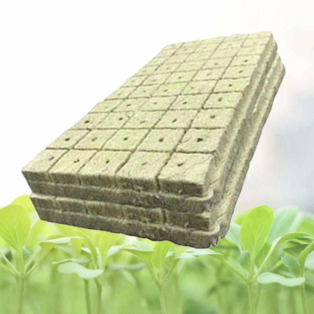100pcs Hydroponics Starter Plugs - DailyBasicNeeds.com