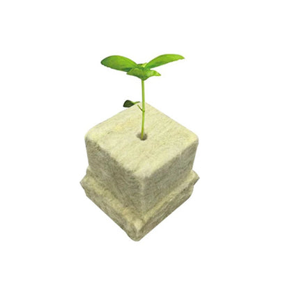 100pcs Hydroponics Starter Plugs - DailyBasicNeeds.com