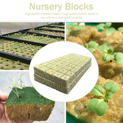 100pcs Hydroponics Starter Plugs - DailyBasicNeeds.com