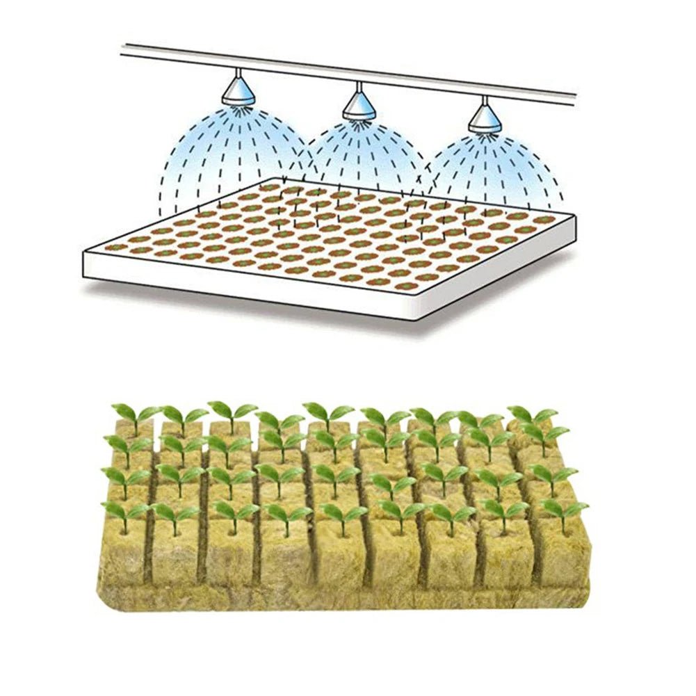100pcs Hydroponics Starter Plugs - DailyBasicNeeds.com