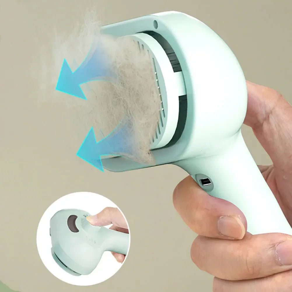 3 in 1 Cat Steam Brush Pet - DailyBasicNeeds.com