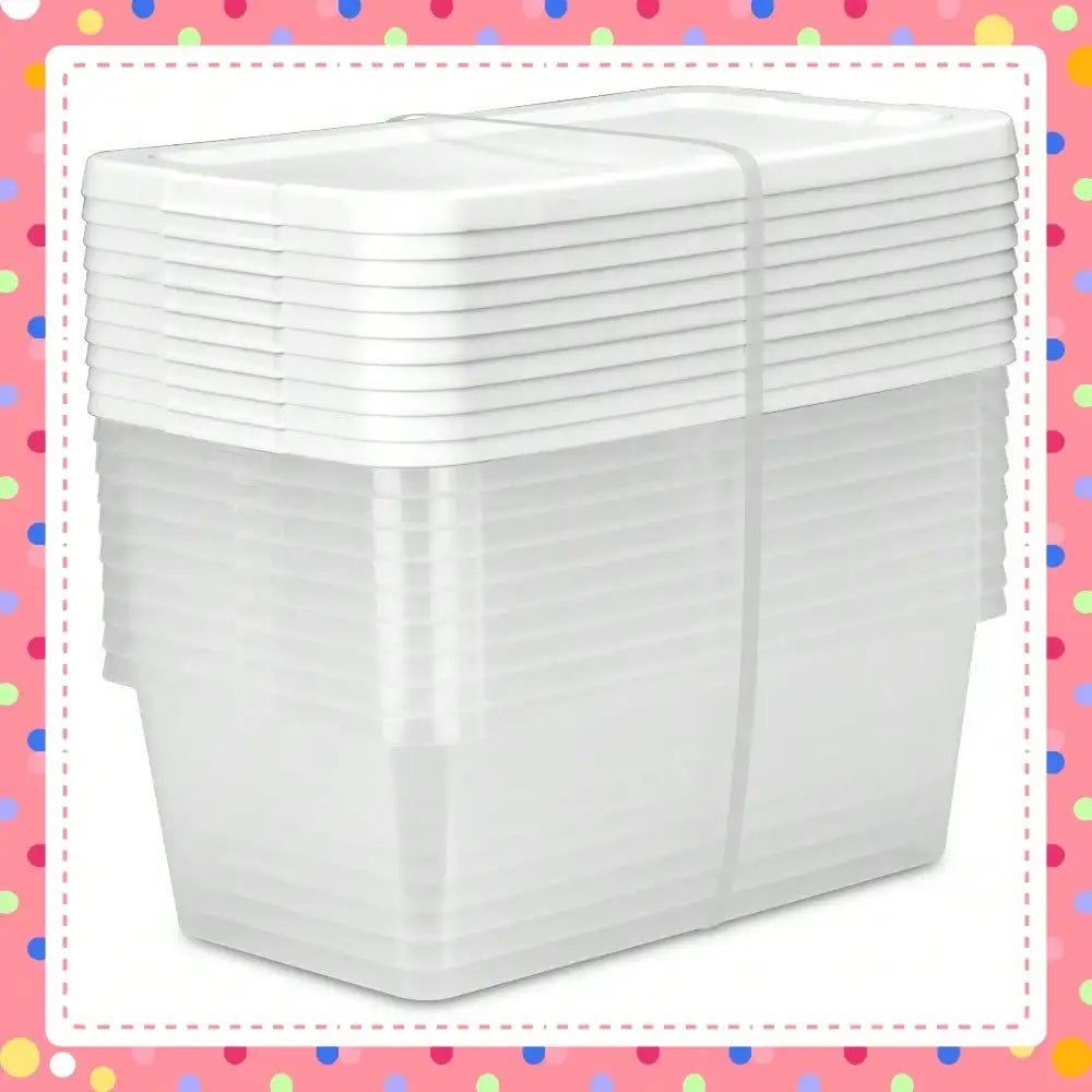 6 - Quart Clear Storage Bins - DailyBasicNeeds.com
