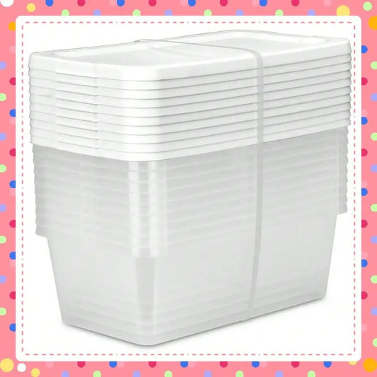 6 - Quart Clear Storage Bins - DailyBasicNeeds.com