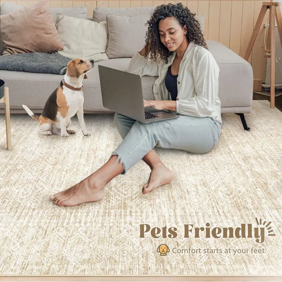 8x10 Room Rugs - DailyBasicNeeds.com