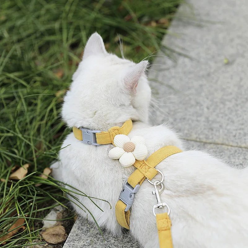 Cat Harness and Leash Sets