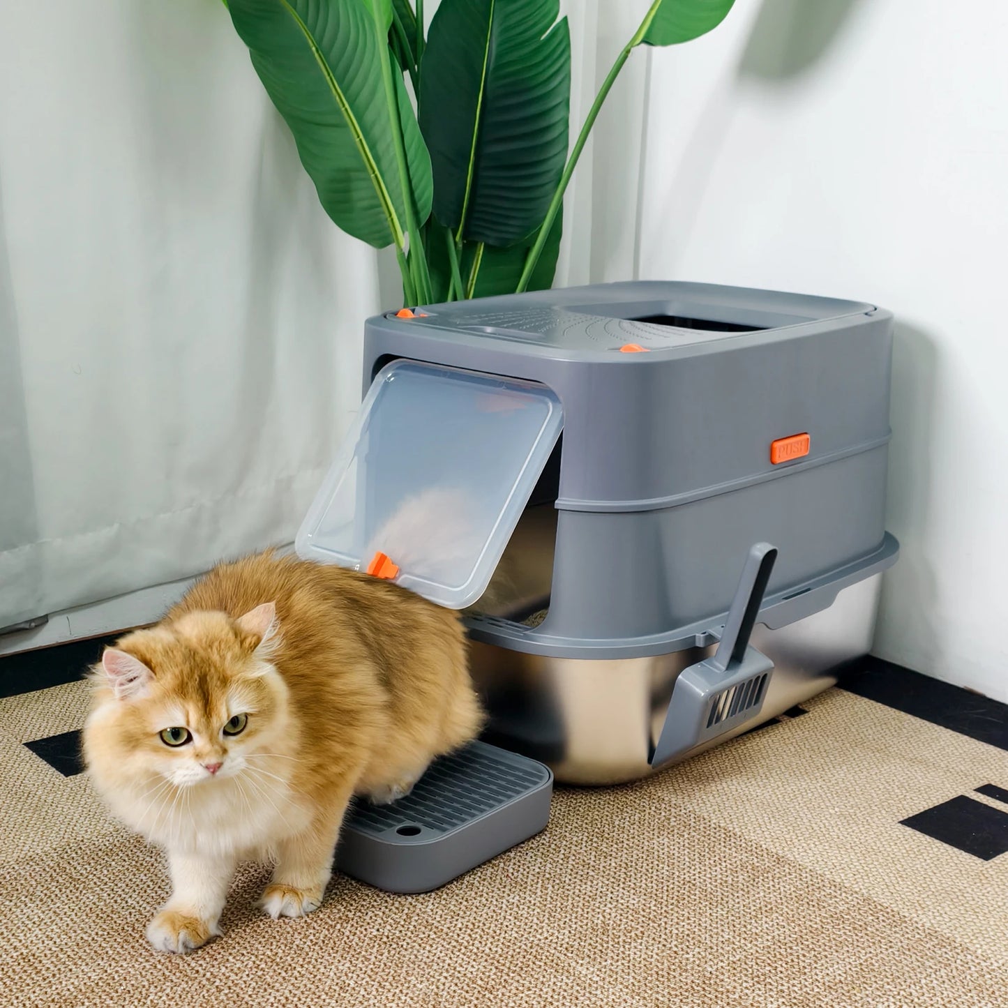 Litter Box for Big Cats