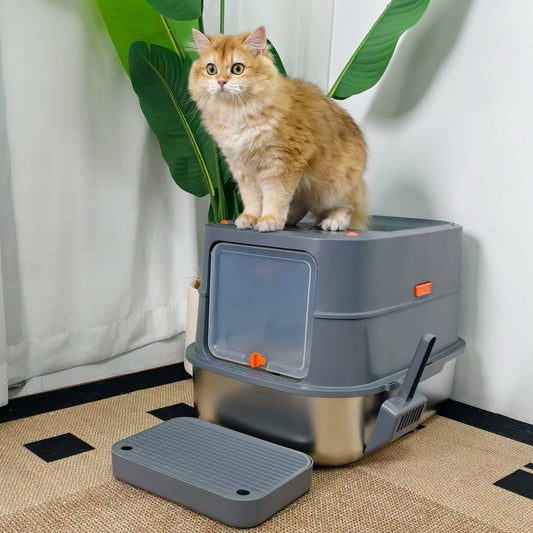 Litter Box for Big Cats