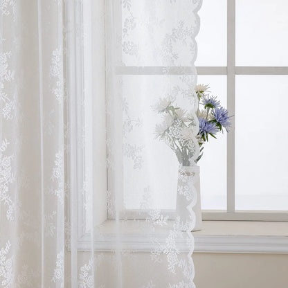 Lace Curtain