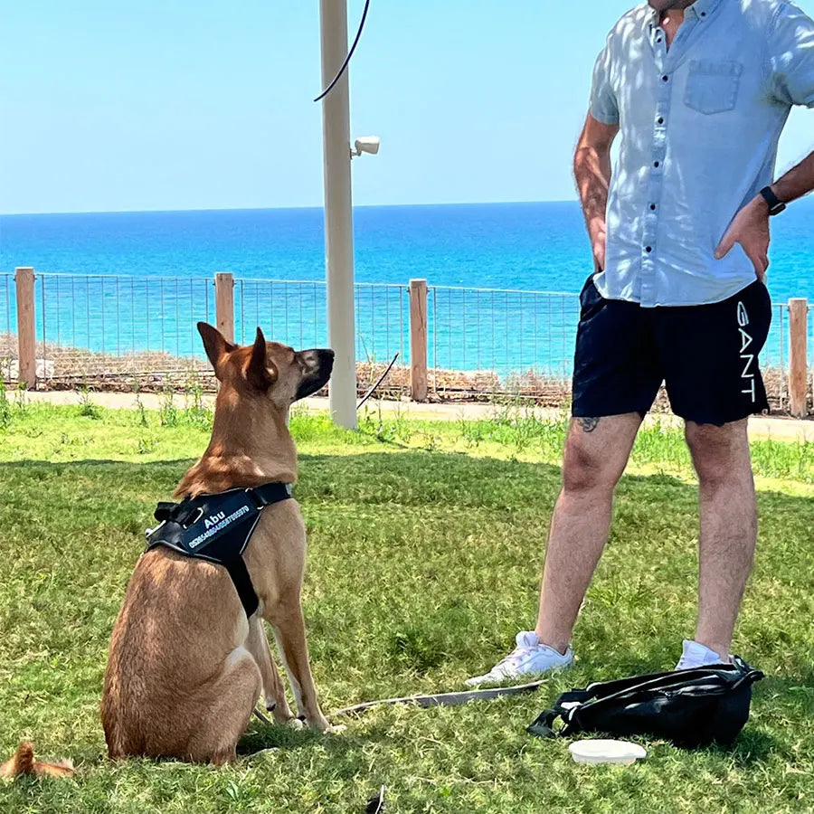 Dog Harness Vest ID Patch