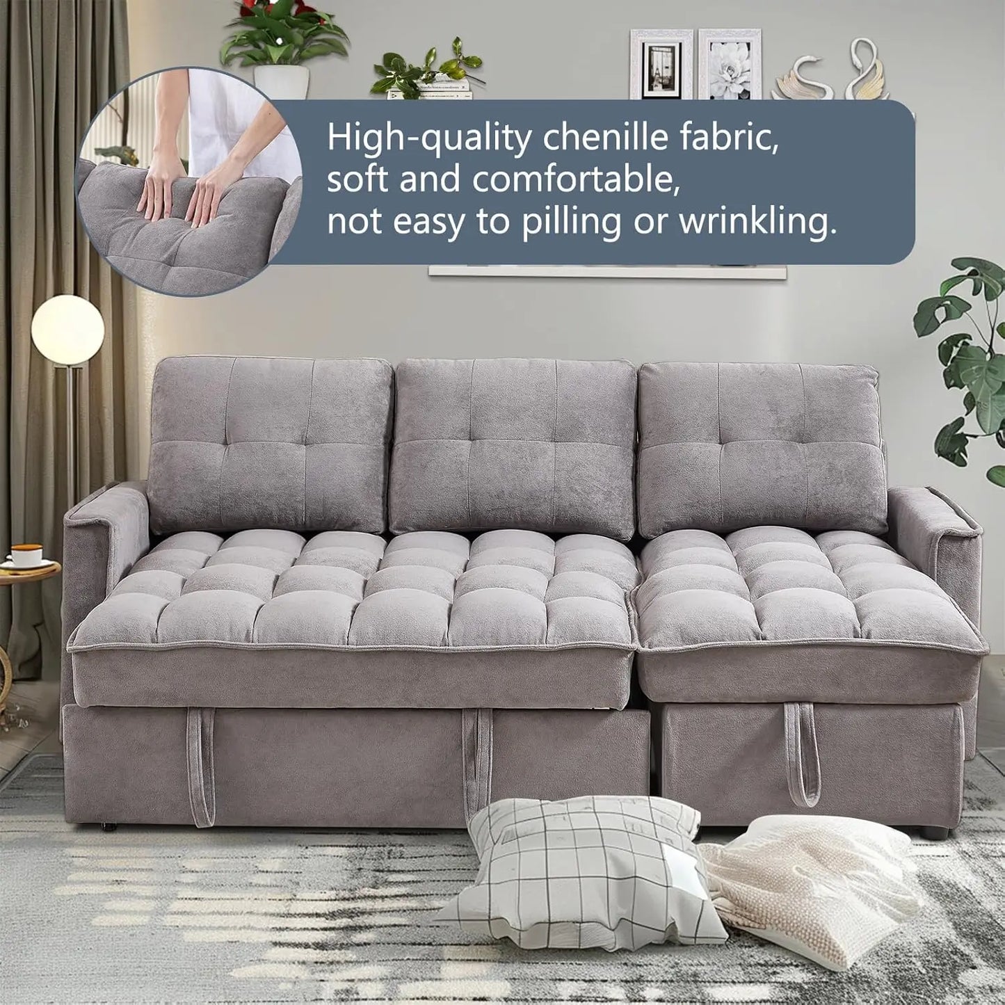 Sleeper Sofa Couch