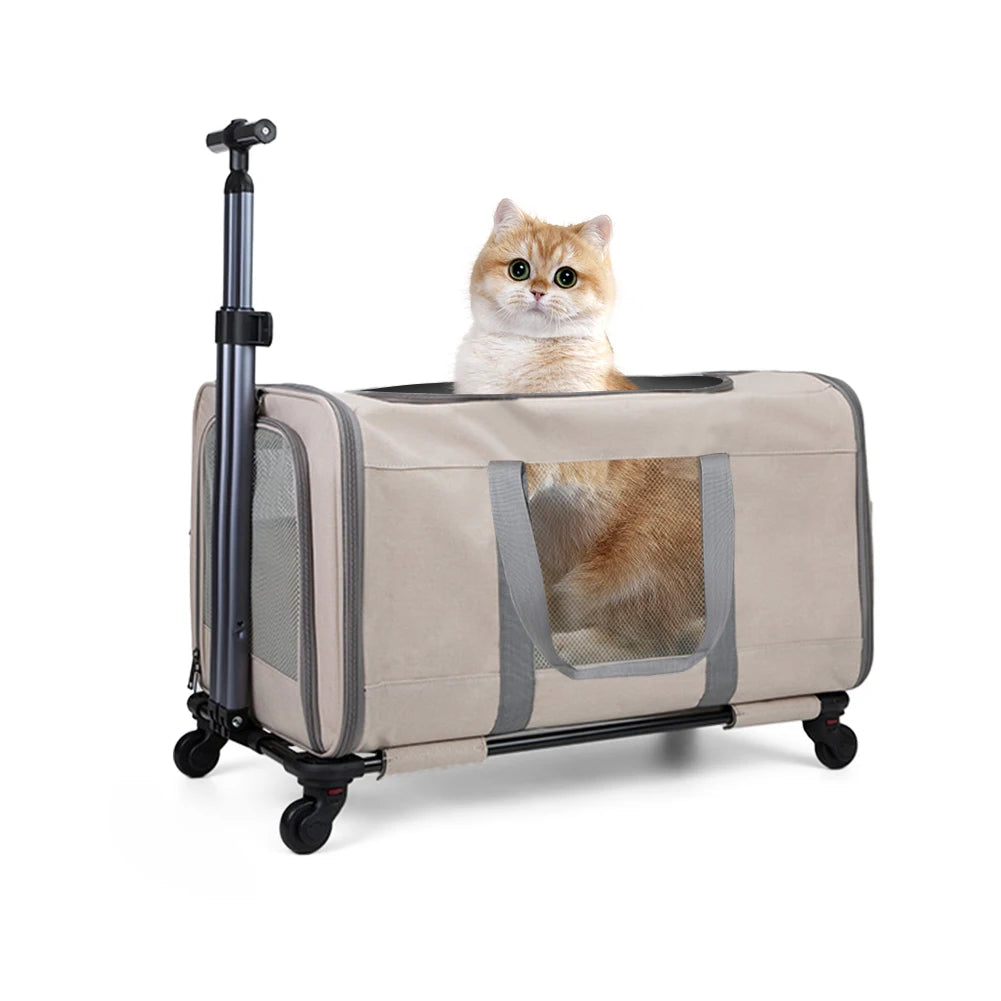 Cat trolley