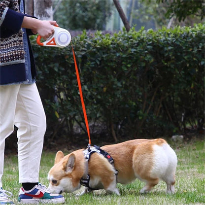 Automatic Retractable Dog Leash with Led Flashlight - DailyBasicNeeds.com