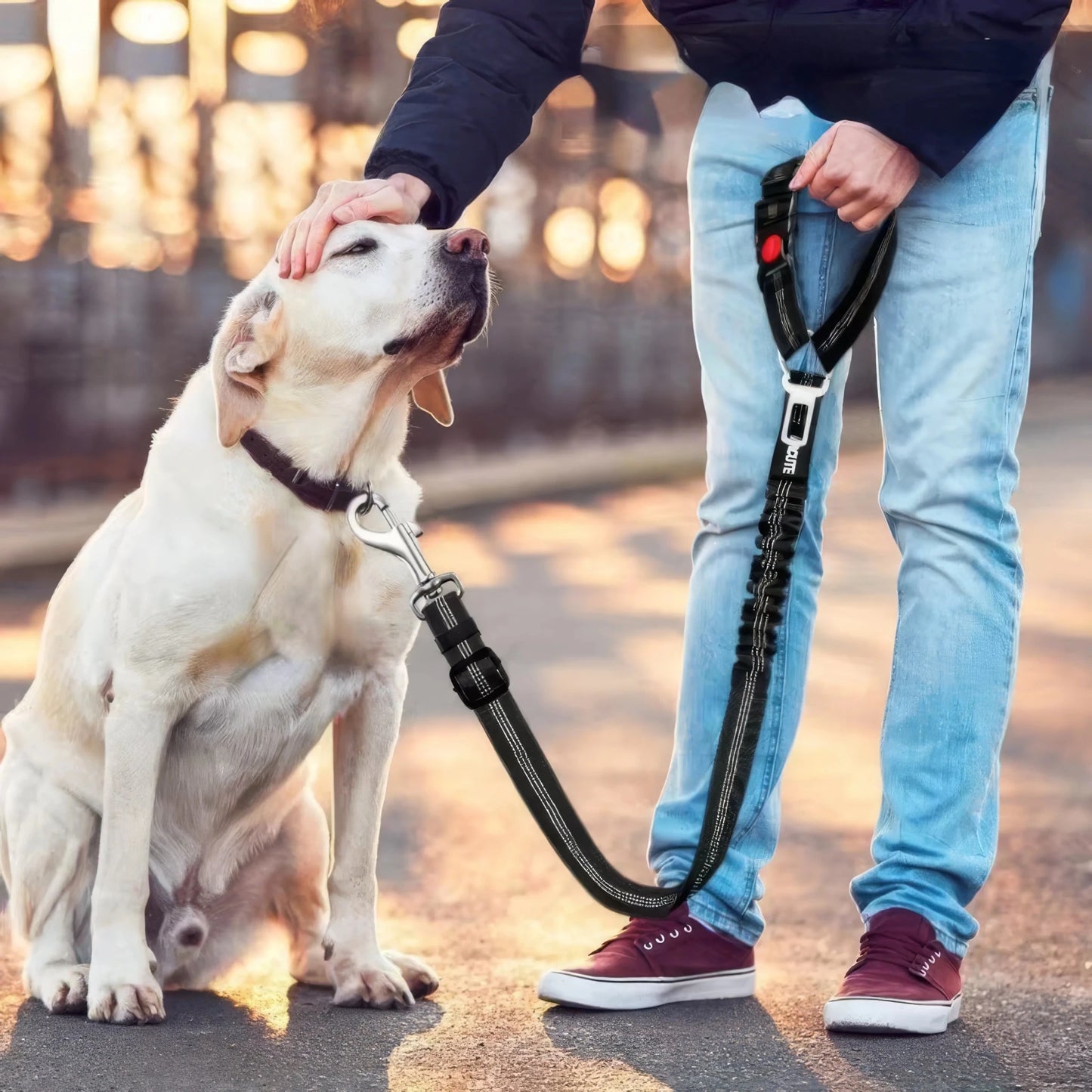 Black Pet Car Safety Rope - DailyBasicNeeds.com