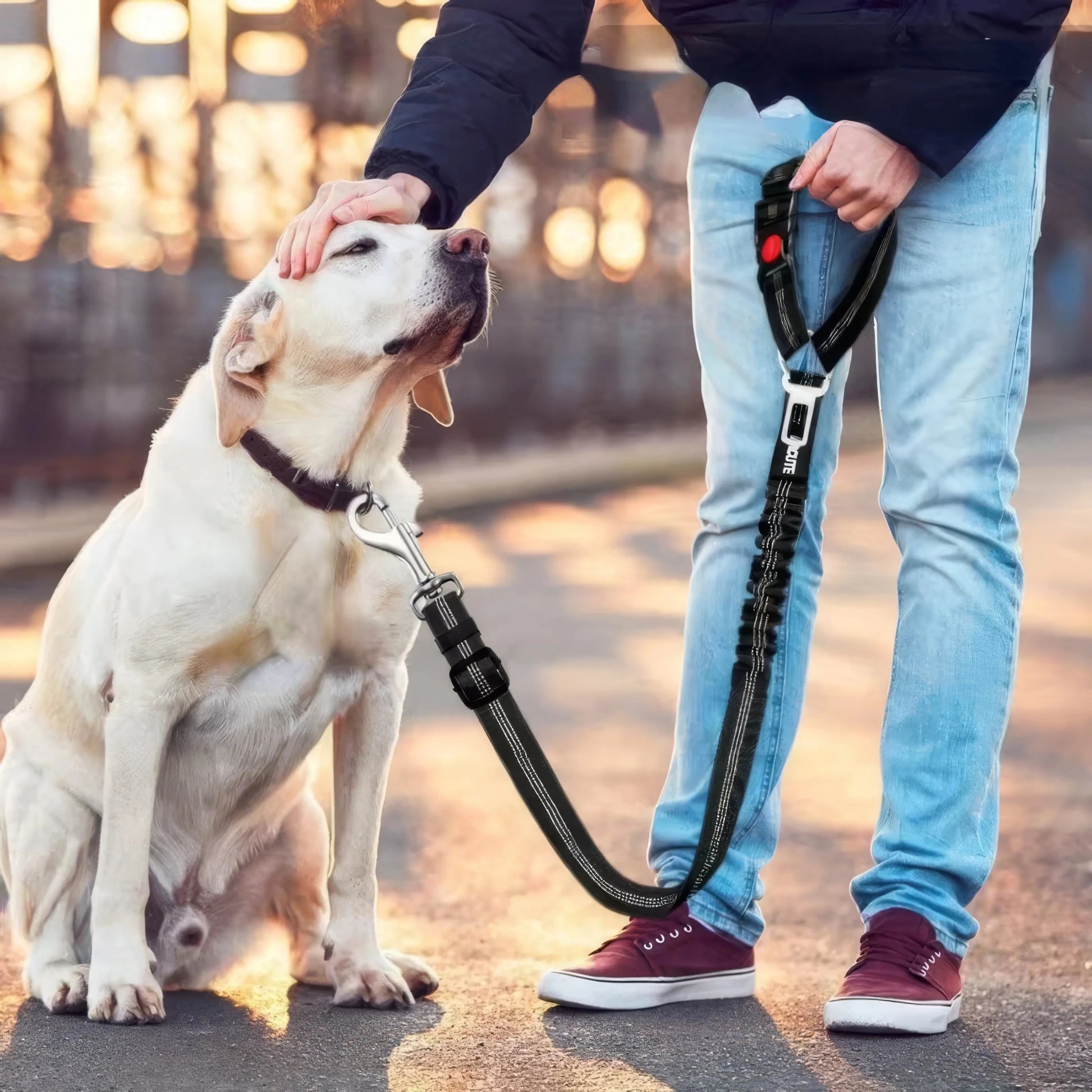 Black Pet Car Safety Rope - DailyBasicNeeds.com