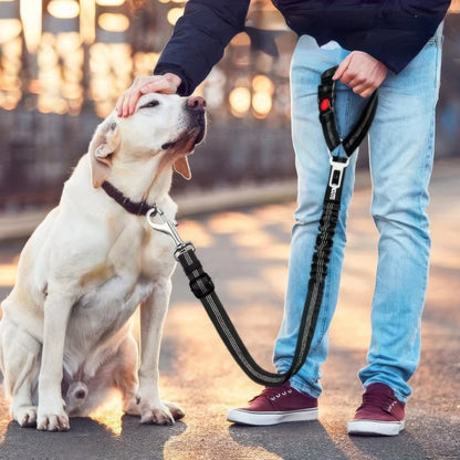 Black Pet Car Safety Rope - DailyBasicNeeds.com