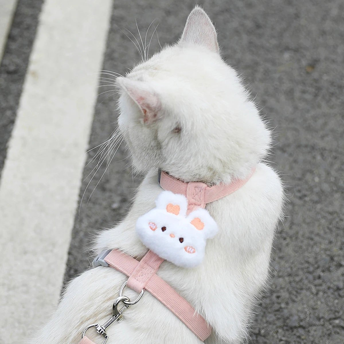 Cat Harness and Leash Sets - DailyBasicNeeds.com