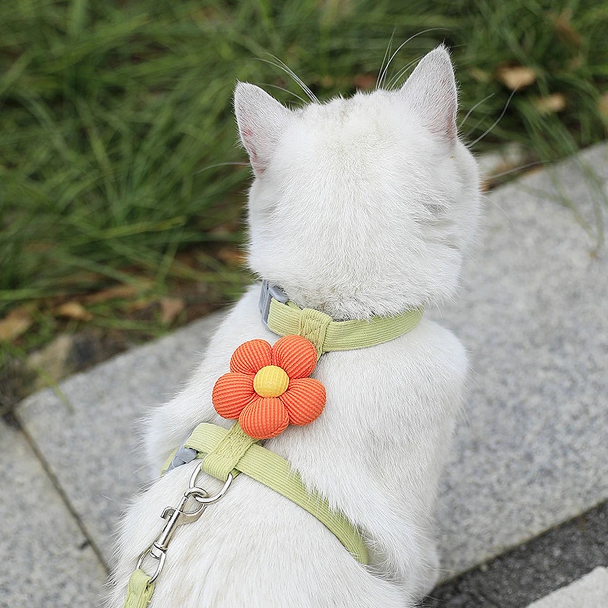 Cat Harness and Leash Sets - DailyBasicNeeds.com