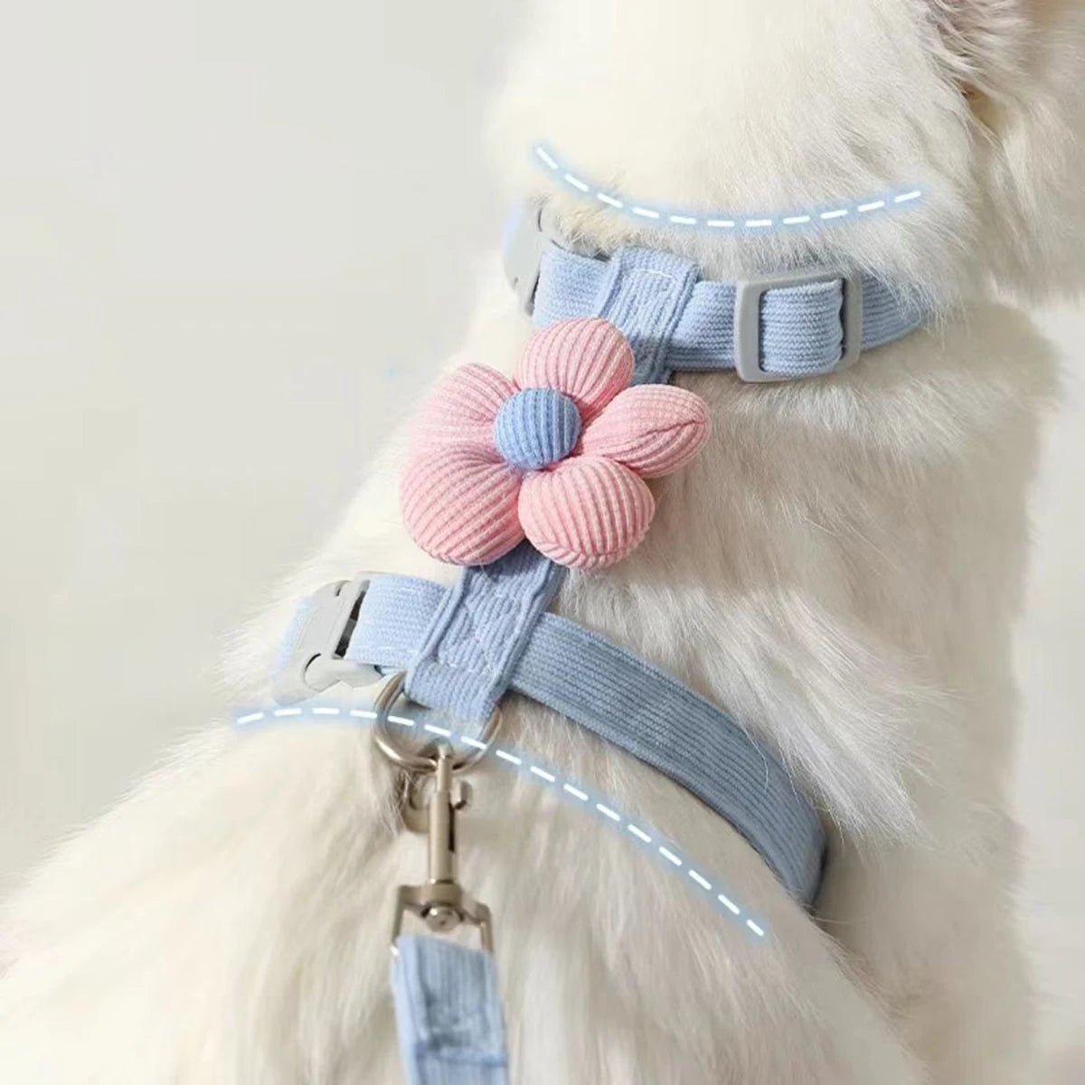 Cat Harness and Leash Sets - DailyBasicNeeds.com