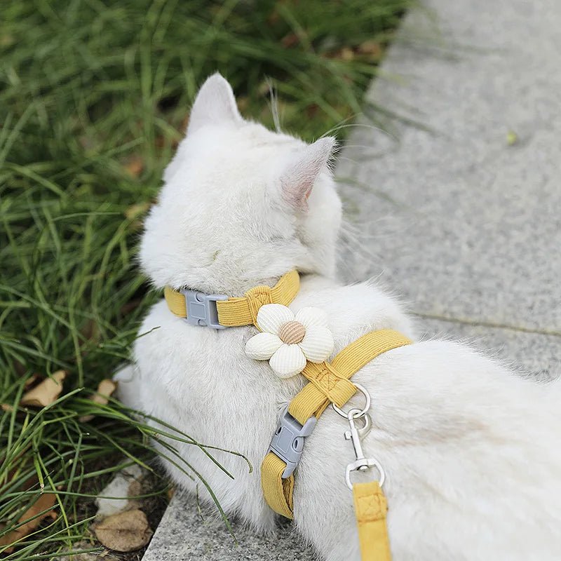 Cat Harness and Leash Sets - DailyBasicNeeds.com