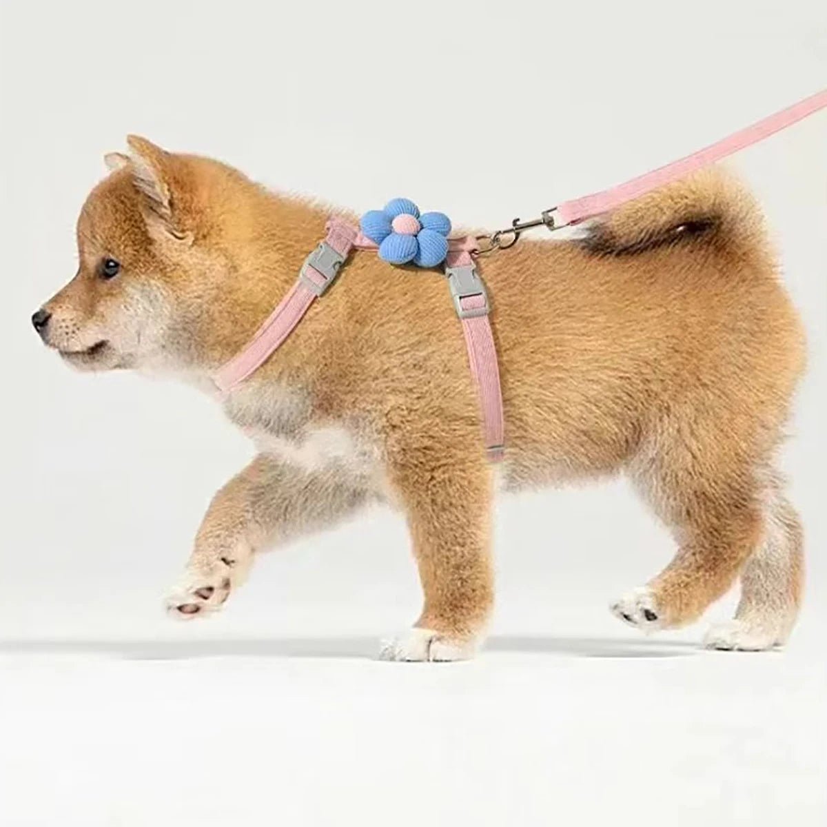 Cat Harness and Leash Sets - DailyBasicNeeds.com
