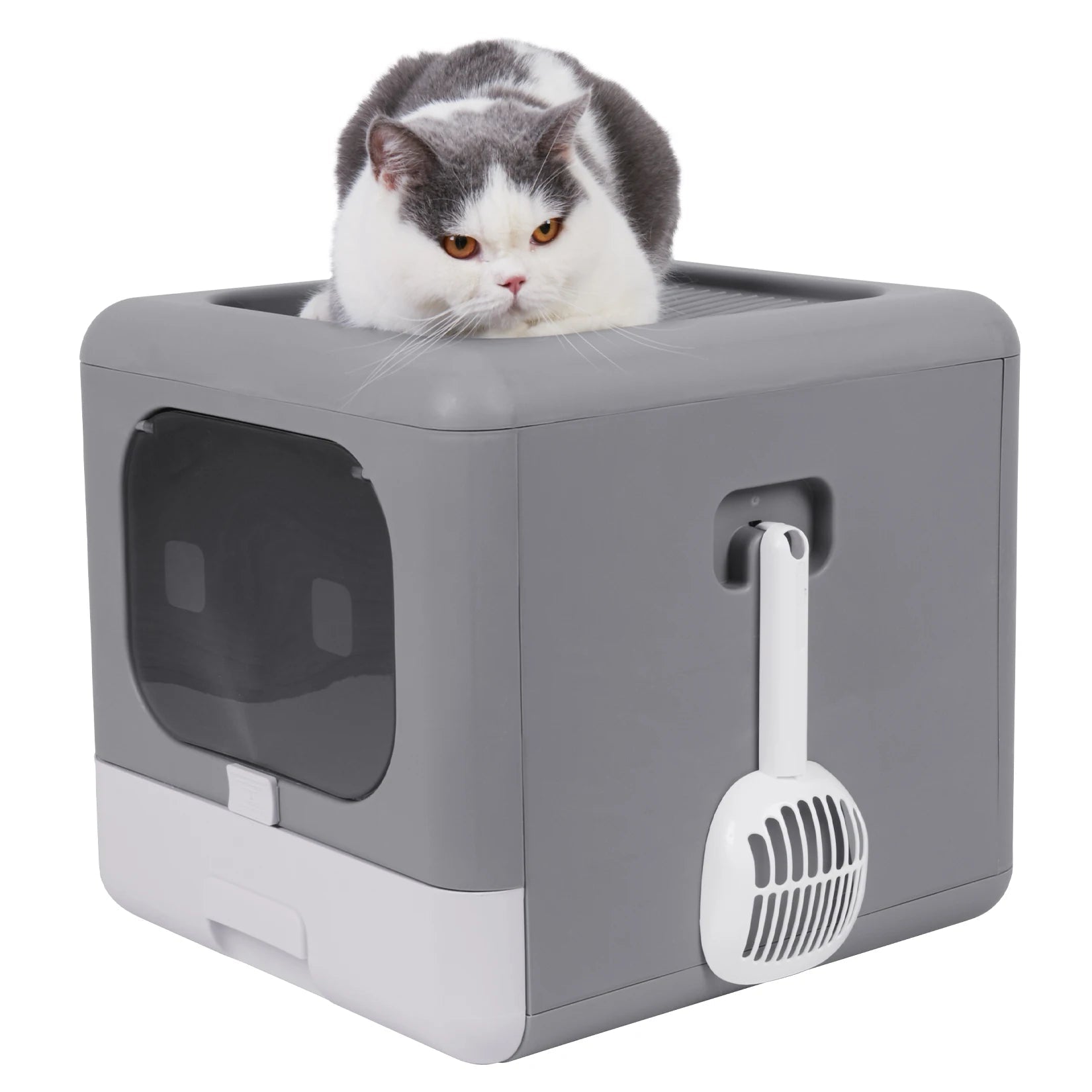 Cat Litter Box with Scoop and Tray - DailyBasicNeeds.com
