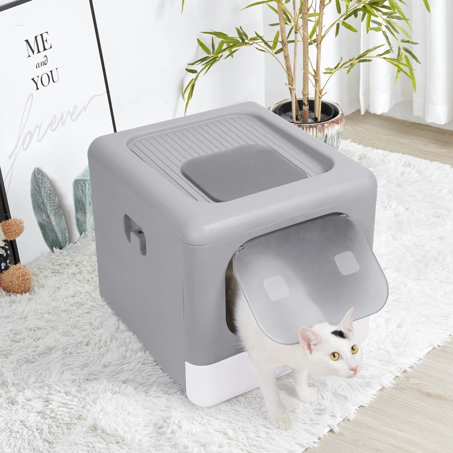 Cat Litter Box with Scoop and Tray - DailyBasicNeeds.com