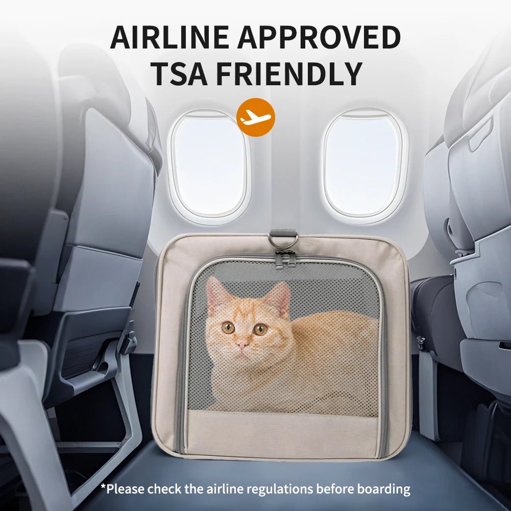 Cat trolley - DailyBasicNeeds.com