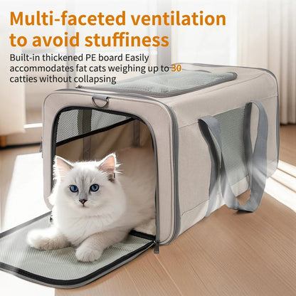 Cat trolley - DailyBasicNeeds.com