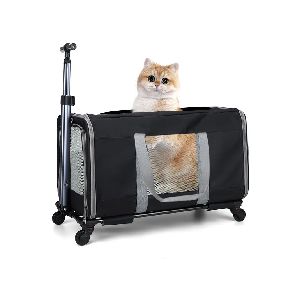 Cat trolley - DailyBasicNeeds.com
