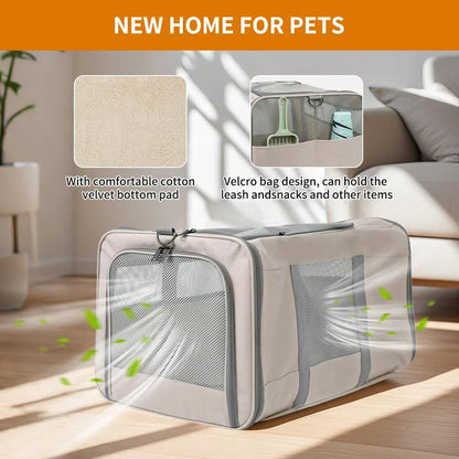 Cat trolley - DailyBasicNeeds.com