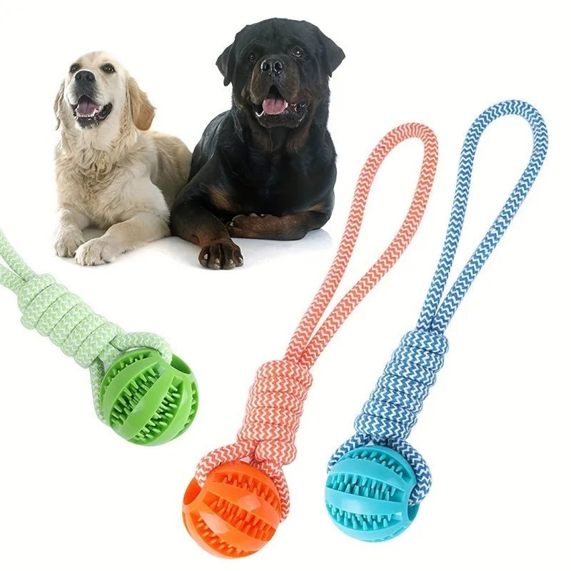 Chew Resistant Rope Toy - DailyBasicNeeds.com