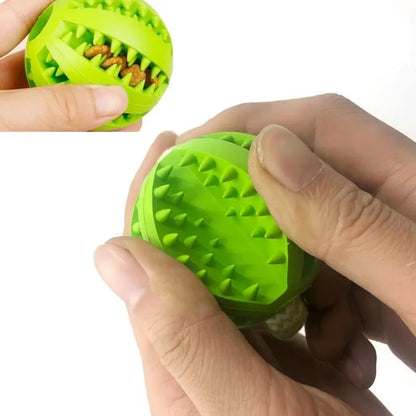 Chew Resistant Rope Toy - DailyBasicNeeds.com