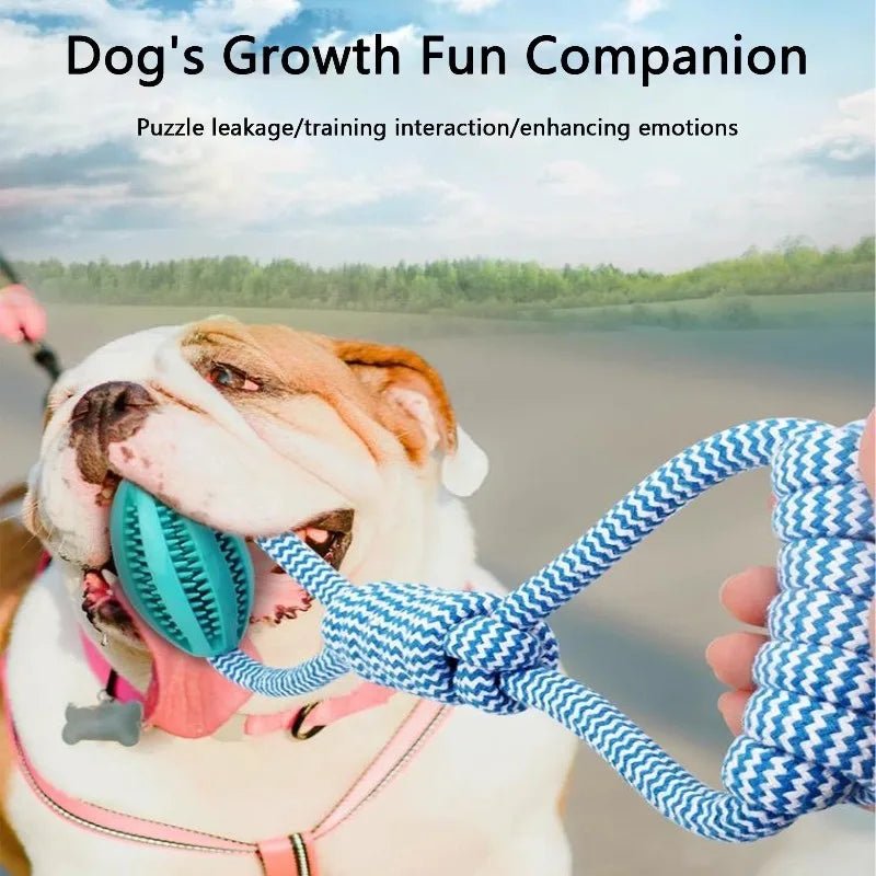 Chew Resistant Rope Toy - DailyBasicNeeds.com
