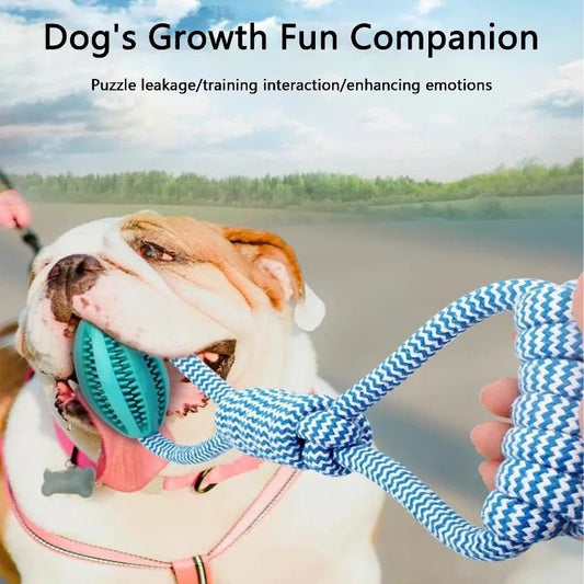 Chew Resistant Rope Toy - DailyBasicNeeds.com