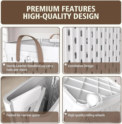Collapsible Laundry Basket - DailyBasicNeeds.com