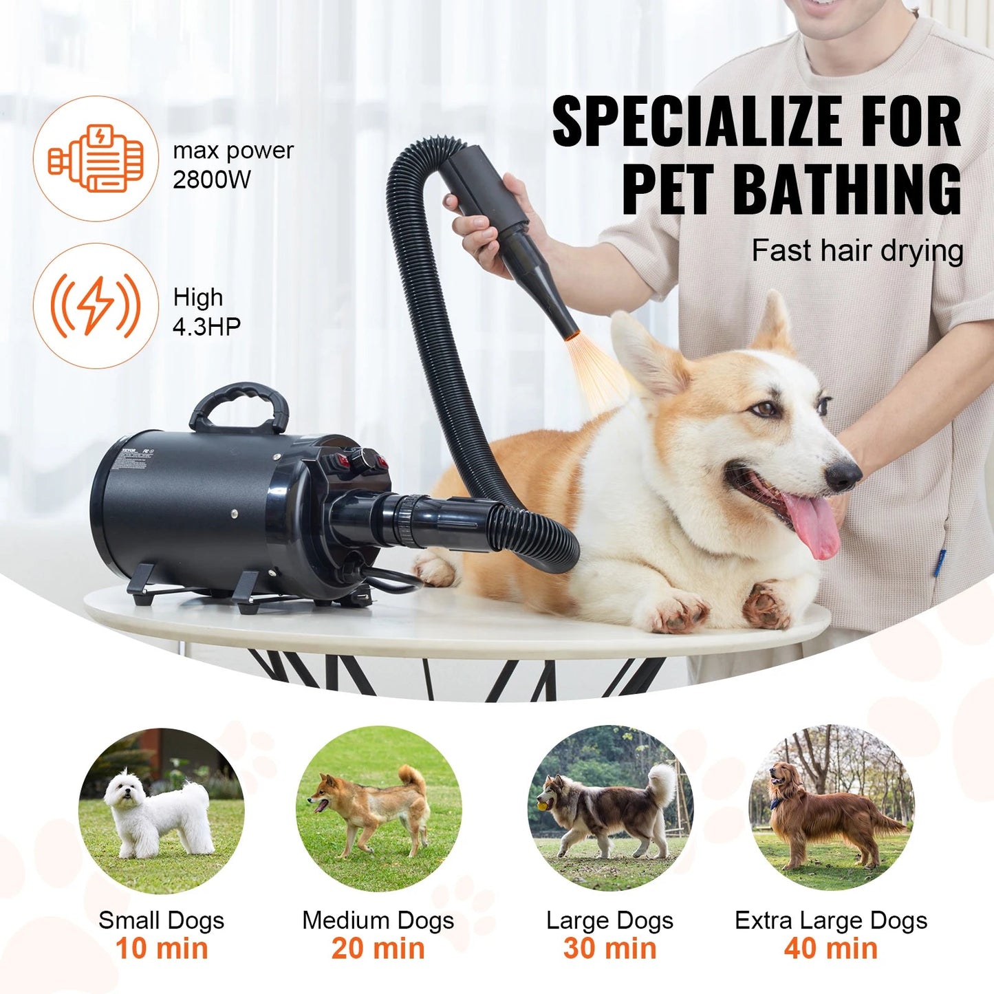 Dog Blow Dryer - DailyBasicNeeds.com