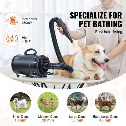 Dog Blow Dryer - DailyBasicNeeds.com