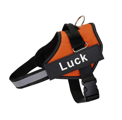 Dog Harness Vest ID Patch - DailyBasicNeeds.com