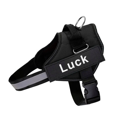 Dog Harness Vest ID Patch - DailyBasicNeeds.com