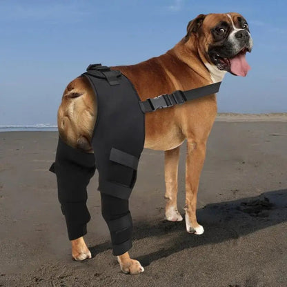 Dog Rear Leg Support Joint Wrap for Dogs Legs Recovery - DailyBasicNeeds.com