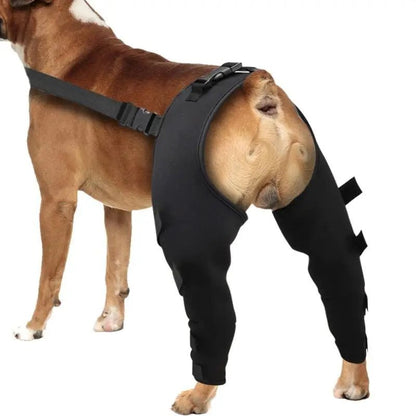 Dog Rear Leg Support Joint Wrap for Dogs Legs Recovery - DailyBasicNeeds.com