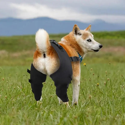 Dog Rear Leg Support Joint Wrap for Dogs Legs Recovery - DailyBasicNeeds.com