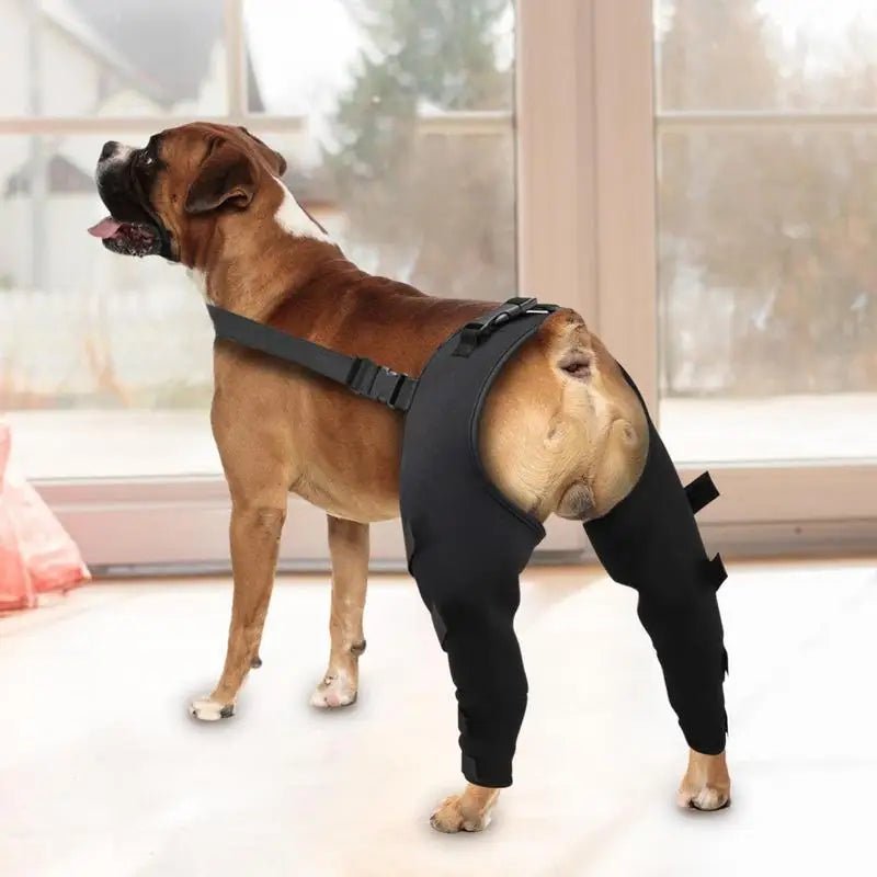 Dog Rear Leg Support Joint Wrap for Dogs Legs Recovery - DailyBasicNeeds.com